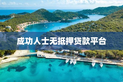 成功人士无抵押贷款平台