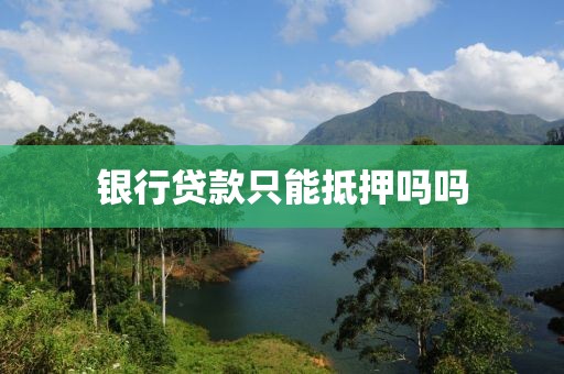 银行贷款只能抵押吗吗