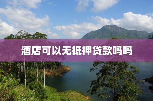 酒店可以无抵押贷款吗吗