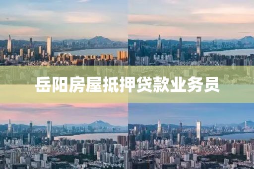 岳阳房屋抵押贷款业务员