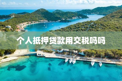 个人抵押贷款用交税吗吗