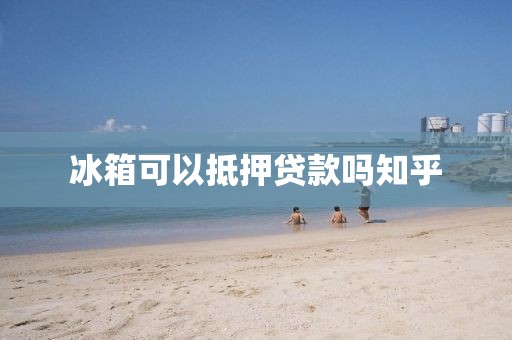 冰箱可以抵押贷款吗知乎