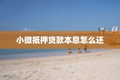 小微抵押贷款本息怎么还