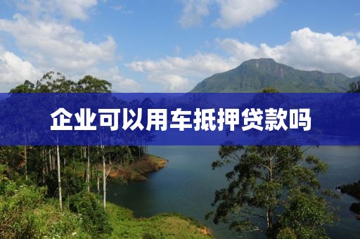 企业可以用车抵押贷款吗