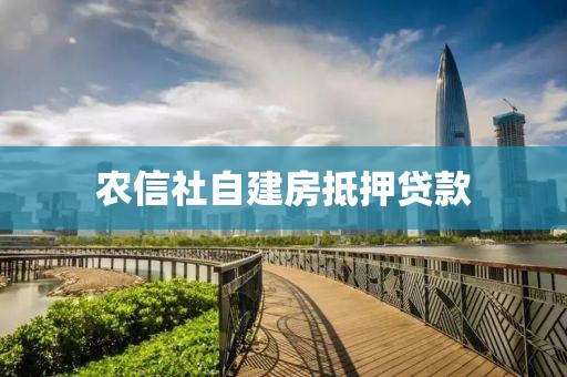 农信社自建房抵押贷款