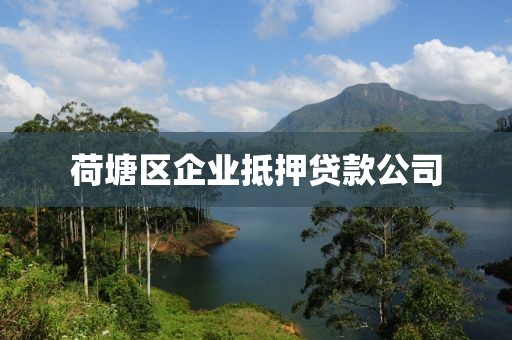 荷塘区企业抵押贷款公司