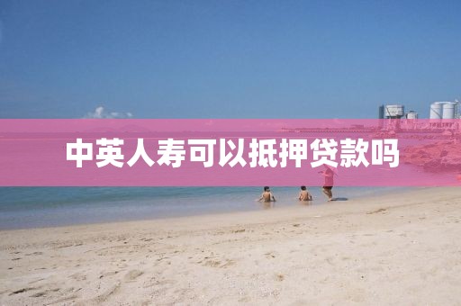 中英人寿可以抵押贷款吗