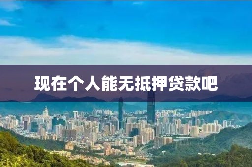 现在个人能无抵押贷款吧