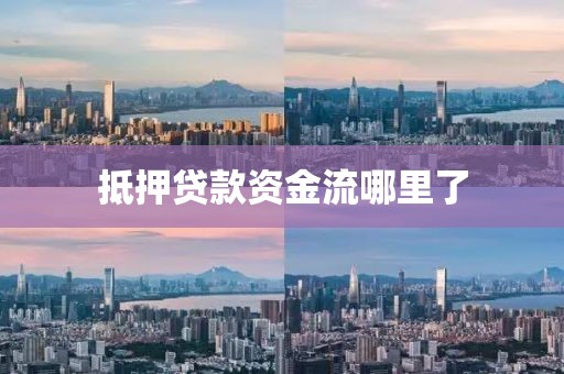 抵押贷款资金流哪里了