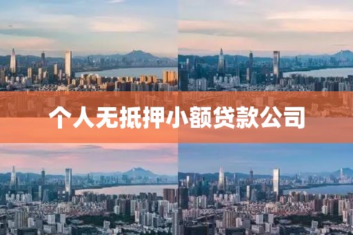 个人无抵押小额贷款公司