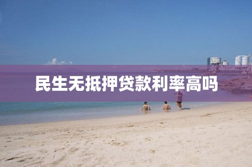 民生无抵押贷款利率高吗