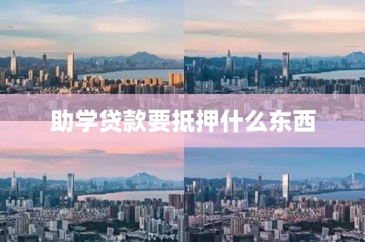 助学贷款要抵押什么东西