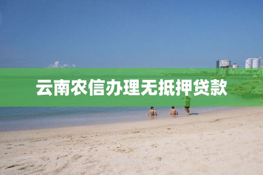 云南农信办理无抵押贷款