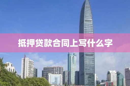 抵押贷款合同上写什么字