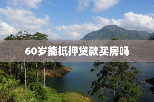 60岁能抵押贷款买房吗