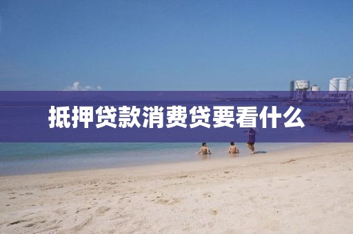 抵押贷款消费贷要看什么