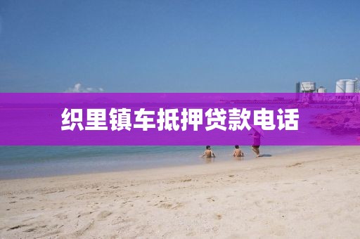 织里镇车抵押贷款电话