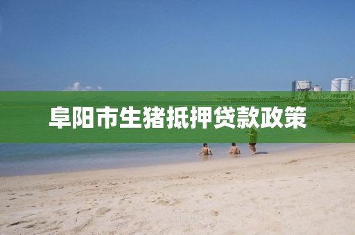 阜阳市生猪抵押贷款政策