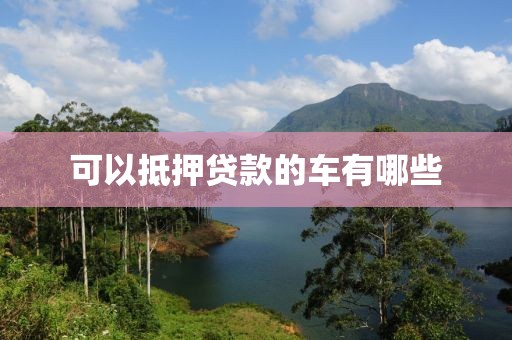 可以抵押贷款的车有哪些