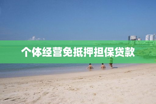 个体经营免抵押担保贷款