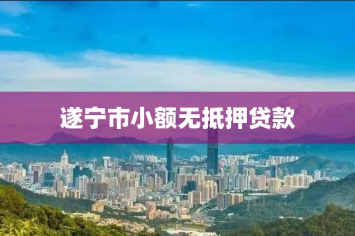 遂宁市小额无抵押贷款