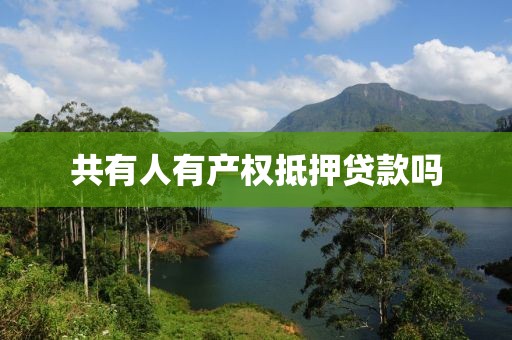 共有人有产权抵押贷款吗