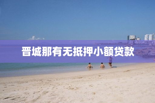 晋城那有无抵押小额贷款
