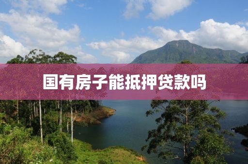 国有房子能抵押贷款吗