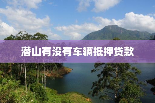 潜山有没有车辆抵押贷款