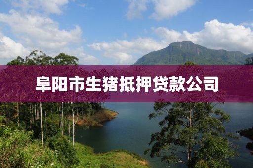 阜阳市生猪抵押贷款公司
