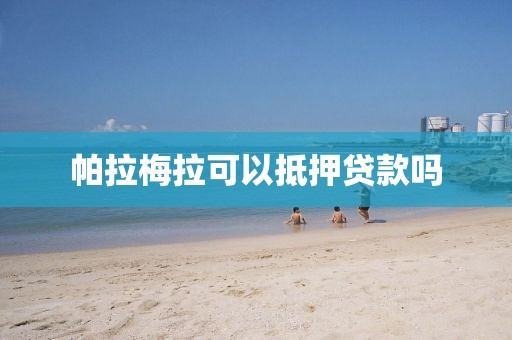 帕拉梅拉可以抵押贷款吗
