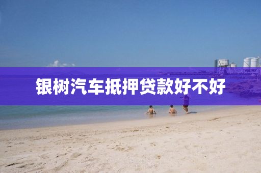 银树汽车抵押贷款好不好
