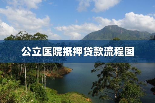 公立医院抵押贷款流程图