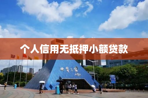 个人信用无抵押小额贷款