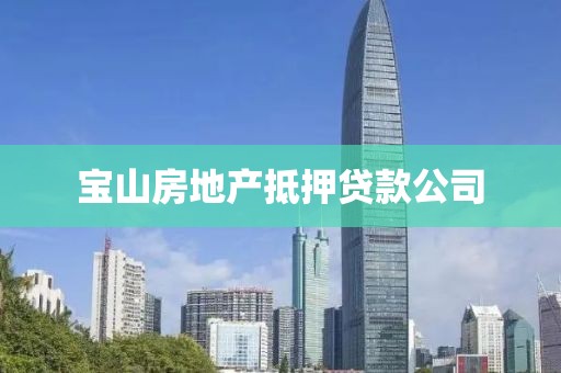 宝山房地产抵押贷款公司