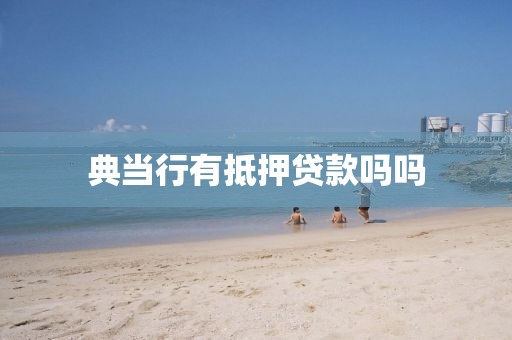 典当行有抵押贷款吗吗