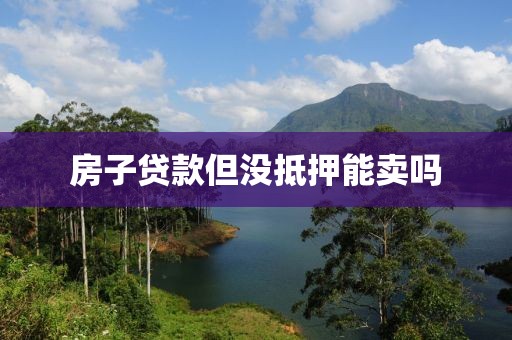 房子贷款但没抵押能卖吗