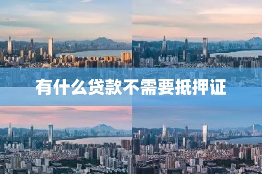 有什么贷款不需要抵押证