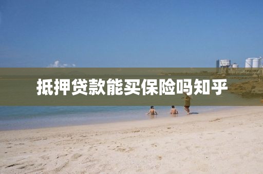 抵押贷款能买保险吗知乎