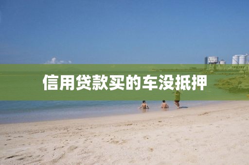 信用贷款买的车没抵押