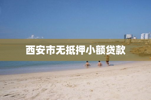 西安市无抵押小额贷款