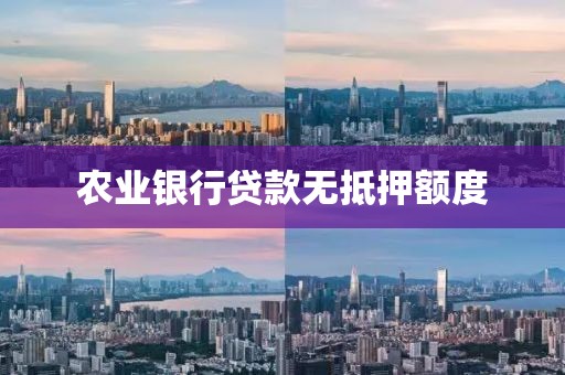 农业银行贷款无抵押额度