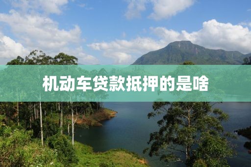 机动车贷款抵押的是啥