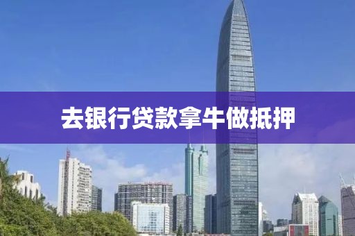 去银行贷款拿牛做抵押