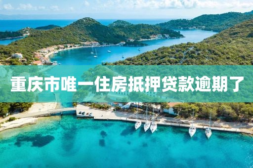 重庆市唯一住房抵押贷款逾期了