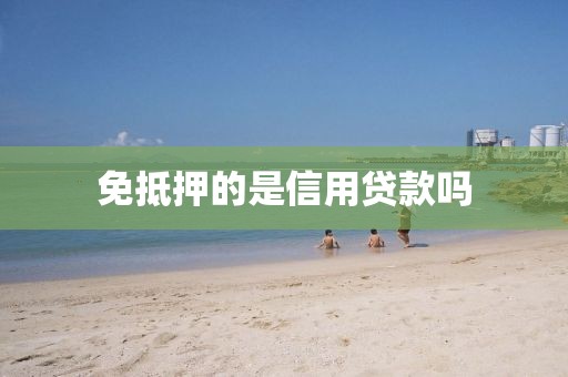 免抵押的是信用贷款吗