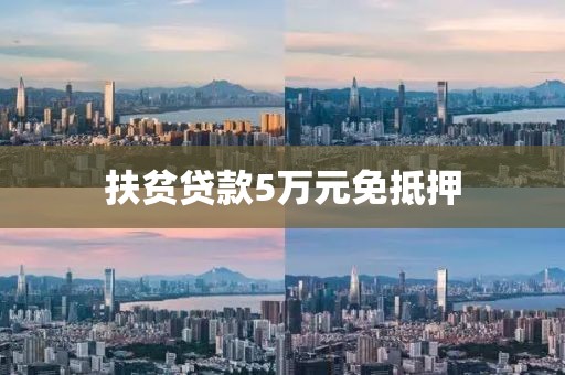 扶贫贷款5万元免抵押