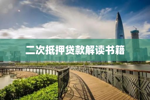 二次抵押贷款解读书籍