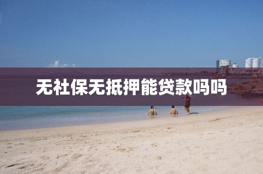 无社保无抵押能贷款吗吗