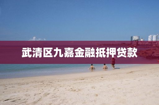 武清区九嘉金融抵押贷款